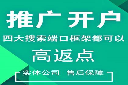 百度竞价代运营公司成功案例分析